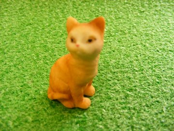GINGER SITTING CAT