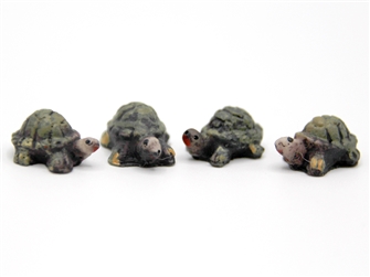 SMALL TORTOISE 12mm