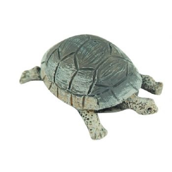 LARGE GREY TORTOISE