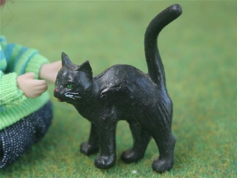 BLACK CAT