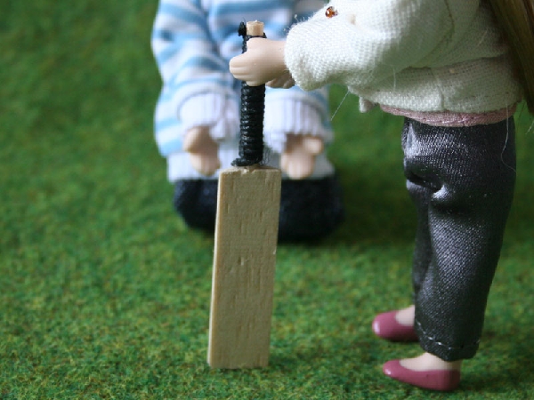 CRICKET BAT CRICKET BAT
