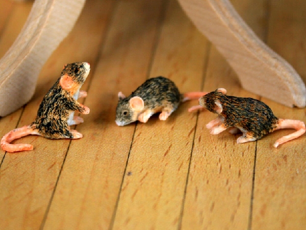 DETAILED BROWN MOUSE