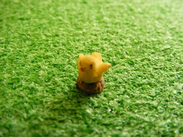 YELLOW BABY CHICK