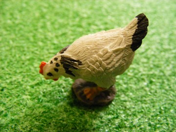 WHITE PECKING HEN