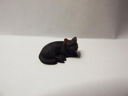 BLACK CAT 1
