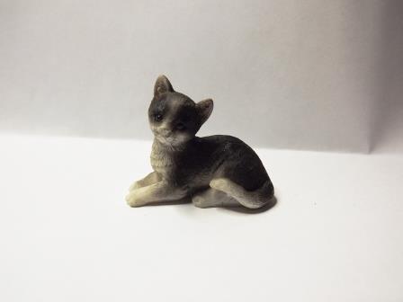 GREY & WHITE CAT