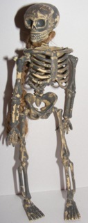 SKELETON