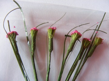 5 PINK FILLER FLOWERS 5 PINK FILLER FLOWERS