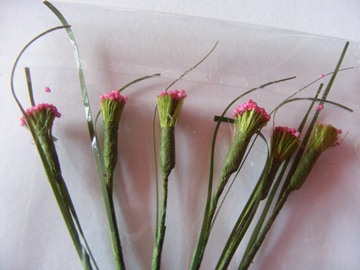 5 PINK FILLER FLOWERS