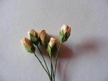 5 SMALL PEACH ROSES 5 SMALL PEACH ROSES