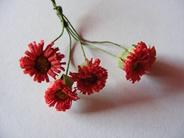 5 RED FLOWERS