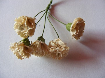 5 CREAM CARNATION FLOWERS