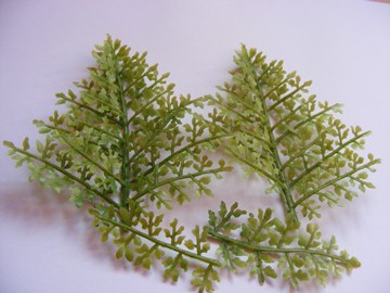 LIGHT GREEN FOLIAGE LEAVES