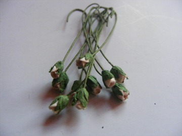 10 TINY PINK ROSES 10 TINY PINK ROSES