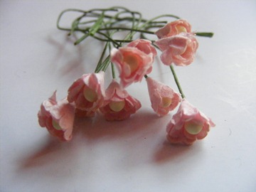 10 PALE PINK FLOWERS