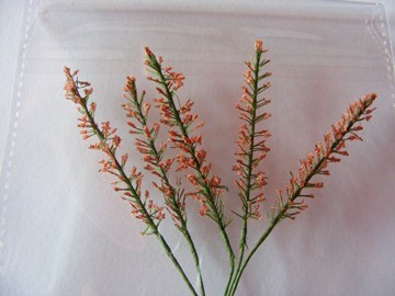 5 TALL SALMON PINK FLOWERS