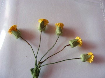 5 YELLOW THISTLE FLOWERS 5 YELLOW THISTLE FLOWERS