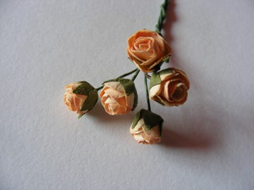 5 MEDIUM PEACH ROSES