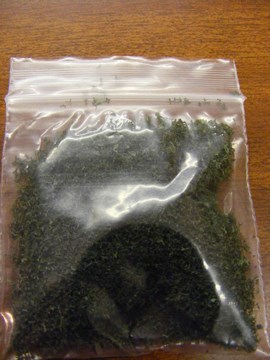 DARK GREEN SPRINKLES DARK GREEN SPRINKLES