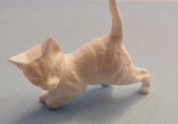 WHITE KITTEN