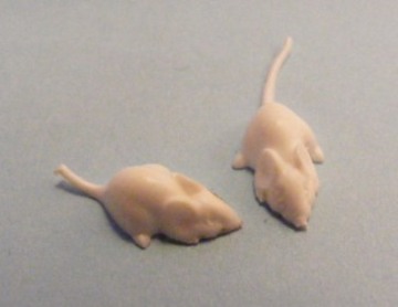 2 TINY WHITE MICE