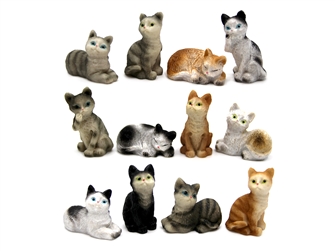CATS