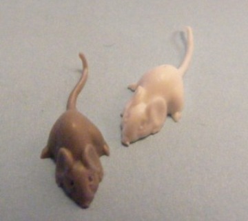 MICE & RATS