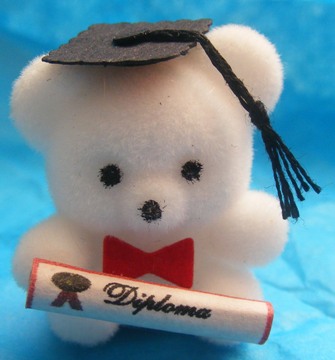 GRADUATION BEAR