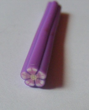 (image for) FIMO CANES